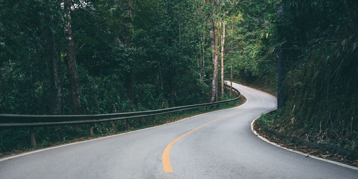 Eine verschlungene Straße führt durch einen Wald. Sinnbild für die Mythen, die sich um das Bloggen ranken.