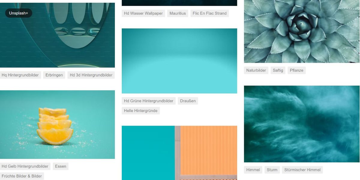 Bilderauswahl von Unsplash in Grüntönen, hier Bilder-SEO